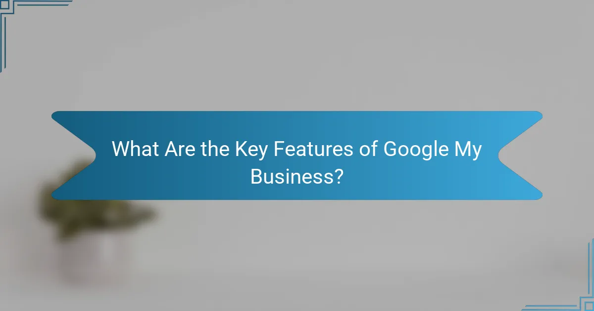 What Are the Key Features of Google My Business?
